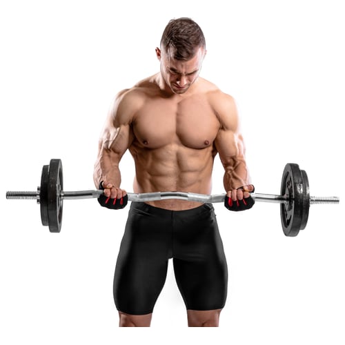 37kg Guss Hantelset Curlhantel