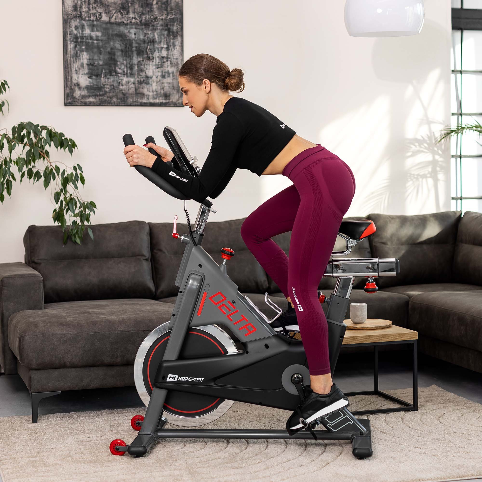 Indoor Bike HS-065IC Delta – thuistraining met comfort en stabiliteit.