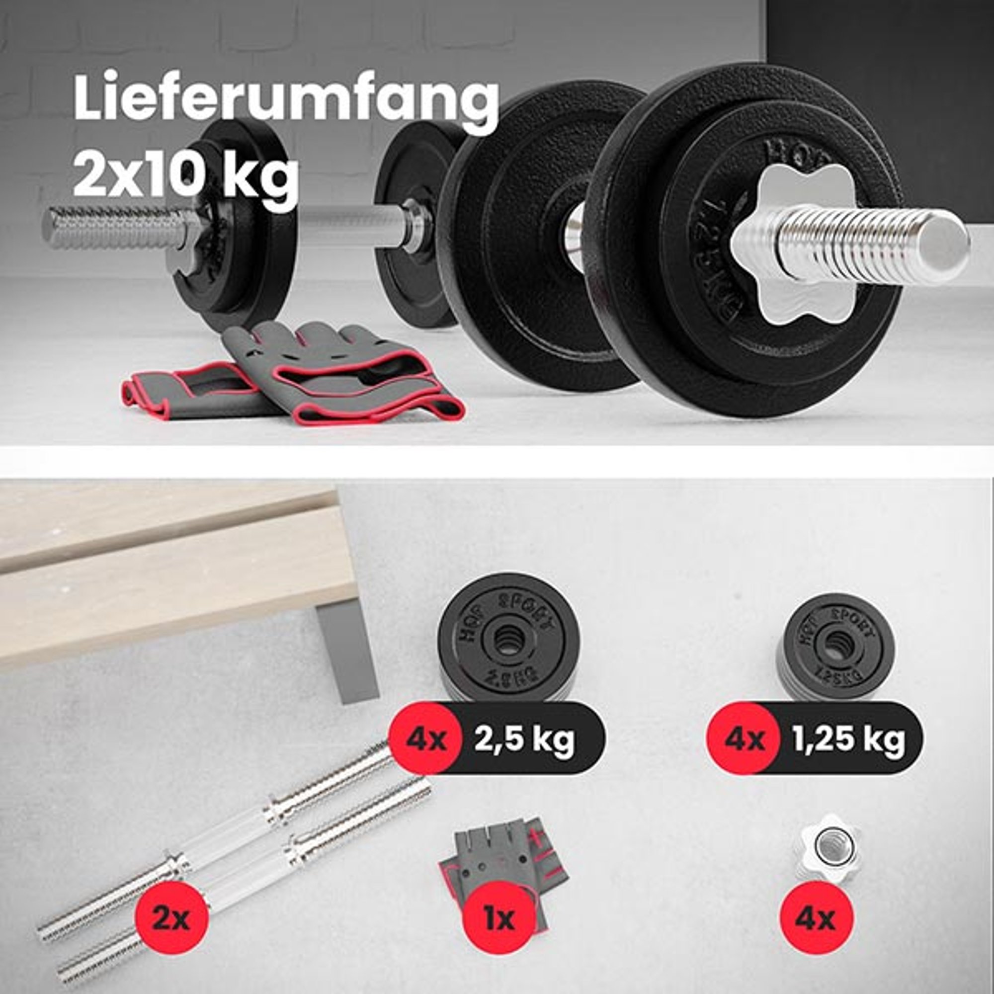 Leveromvang van het set 2 x 10 kg