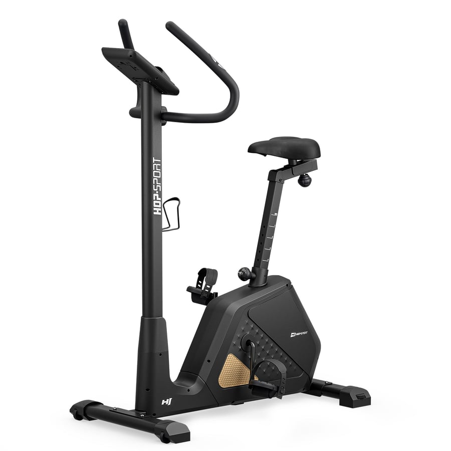 Rower elektryczno-magnetyczny H