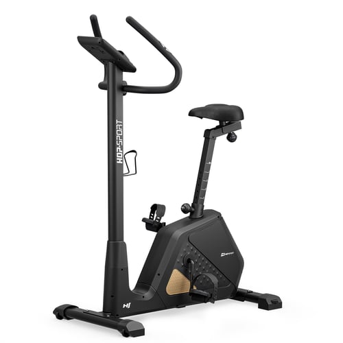 Rower elektryczno-magnetyczny H