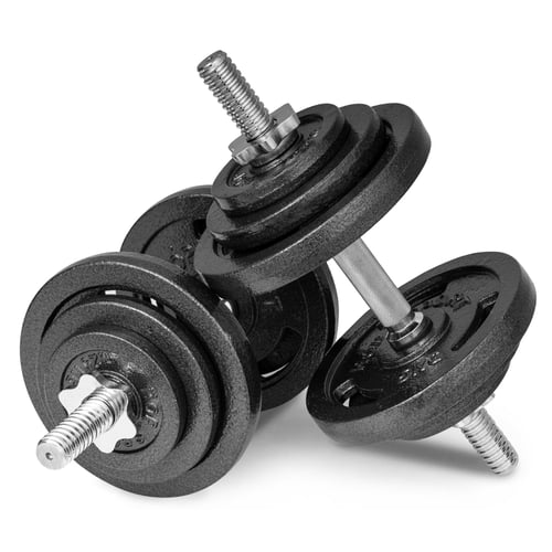 Guss Kurzhanteln 2x20kg