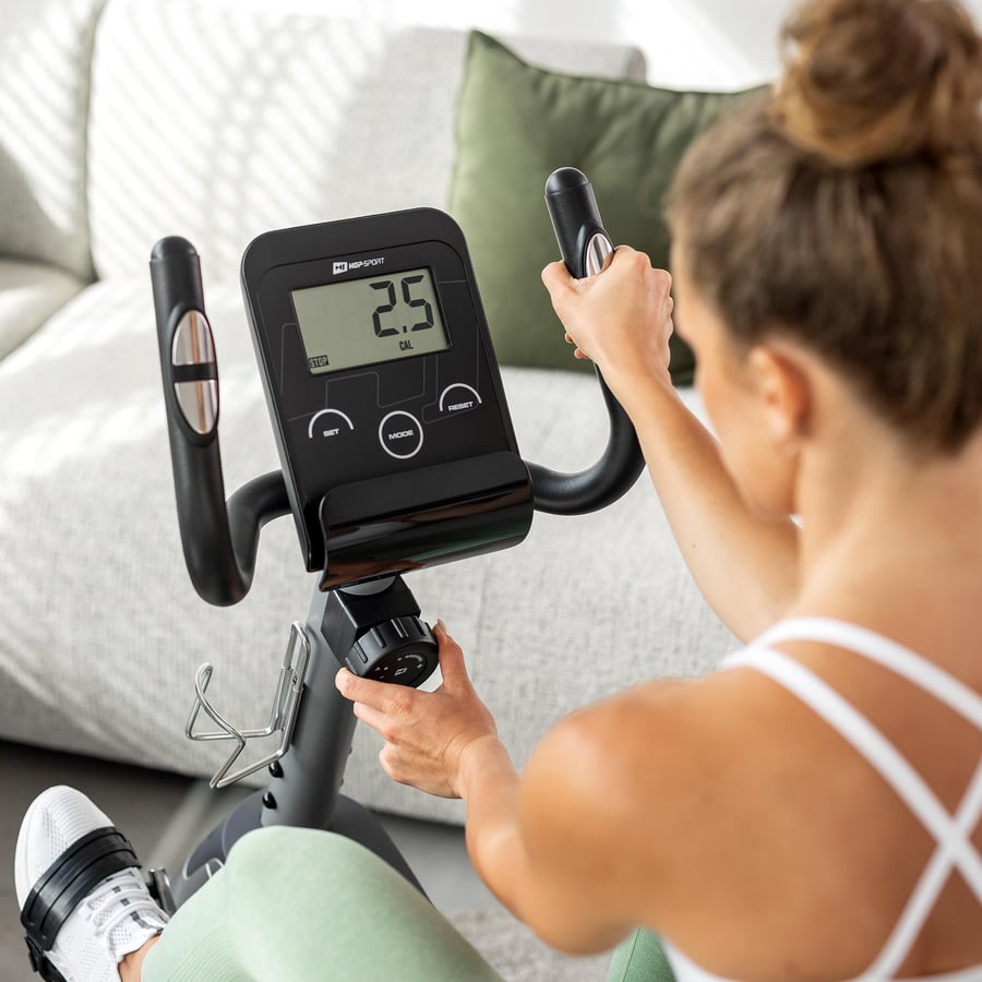 Heimtrainer HS-035L Solo silber