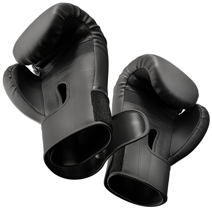 Rękawice bokserskie 10oz HS-BG1