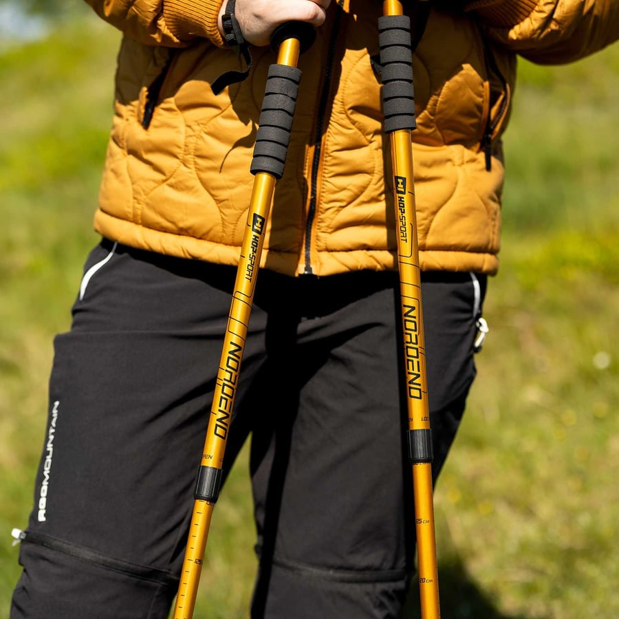 Kijki nordend ZŁOTE sesja model