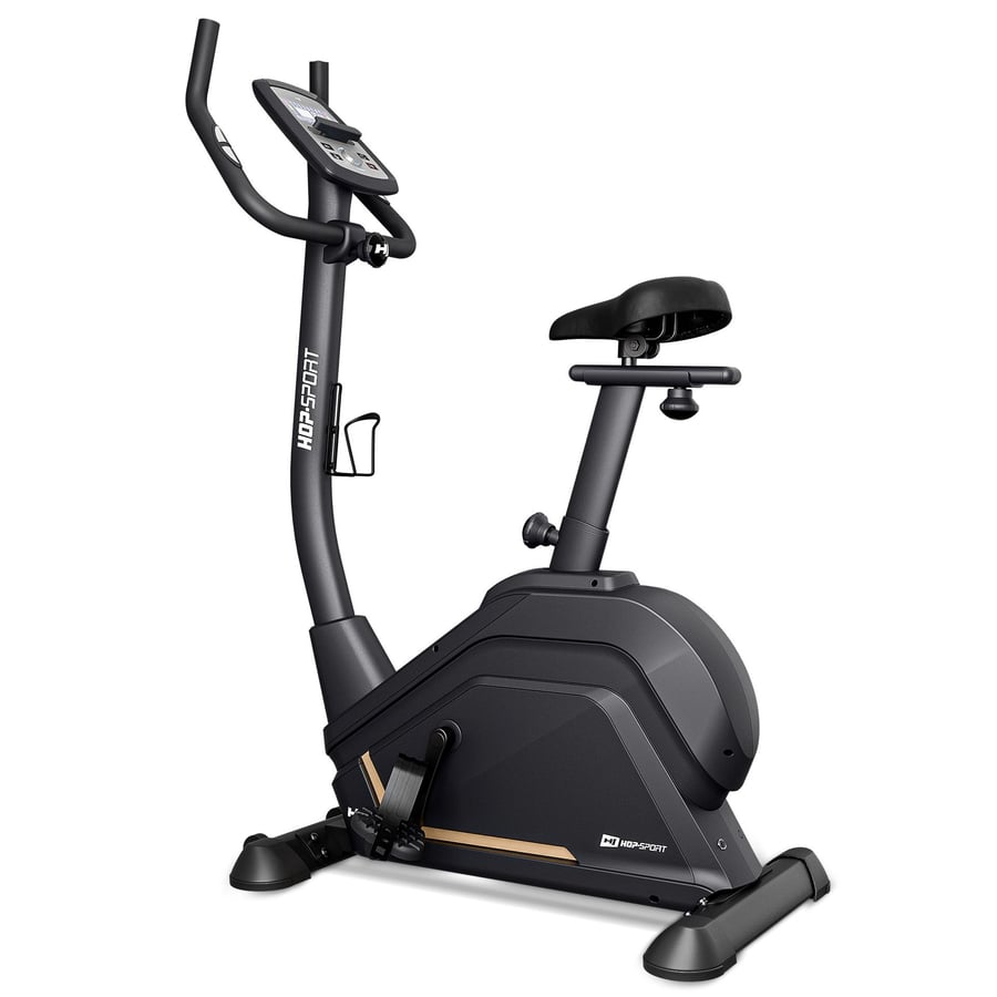 Rower elektryczno-magnetyczny H