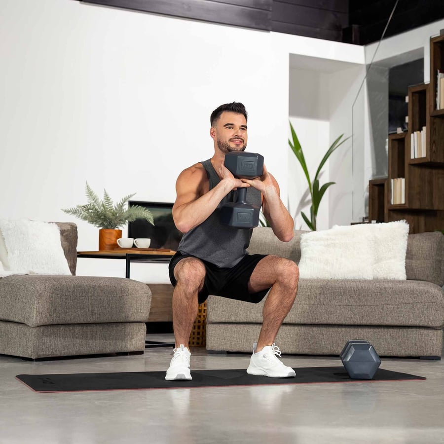 Hantelki DS 2x10kg zdjęcia