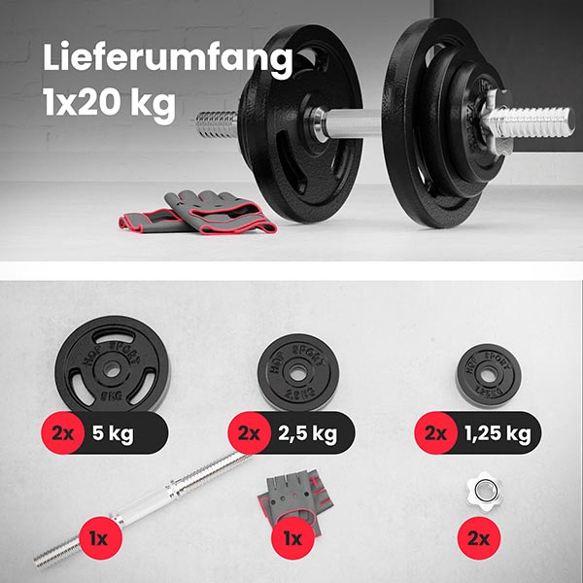 Leveringsomvang van het set 1 x 20 kg