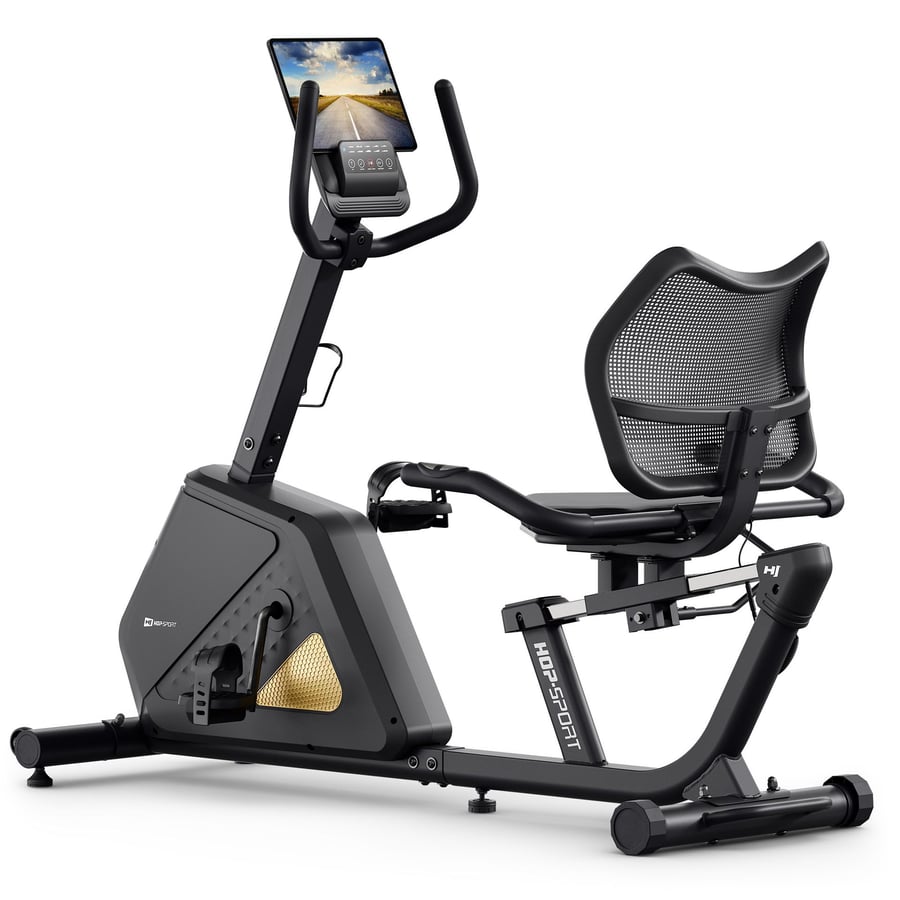 Rower elektryczno-magnetyczny H