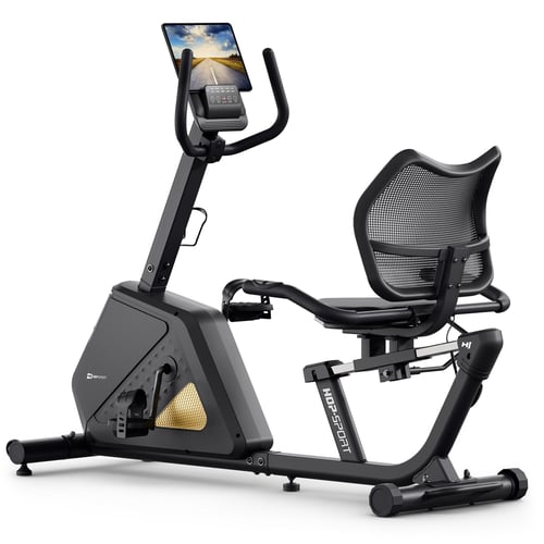 Rower elektryczno-magnetyczny H