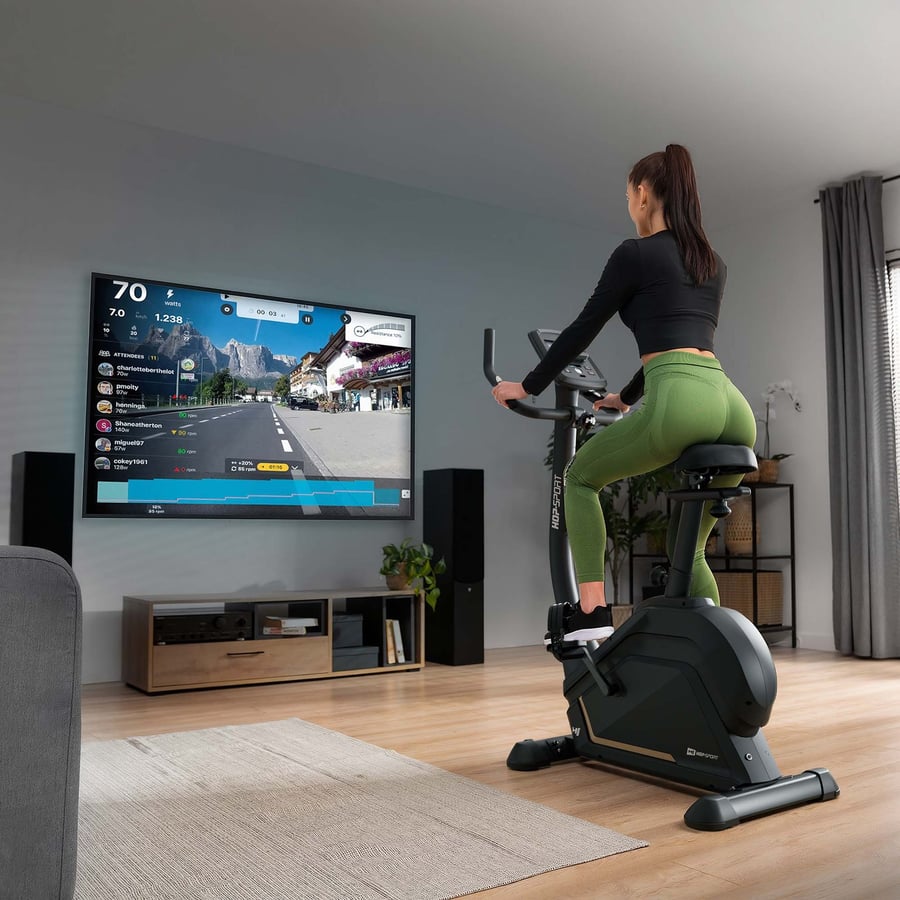 Rower elektryczno-magnetyczny H