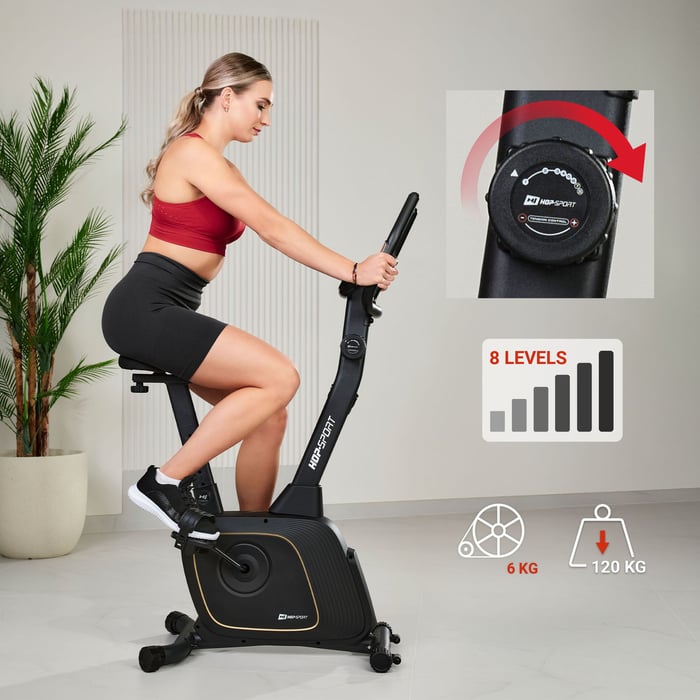 Magnetisch remsysteem