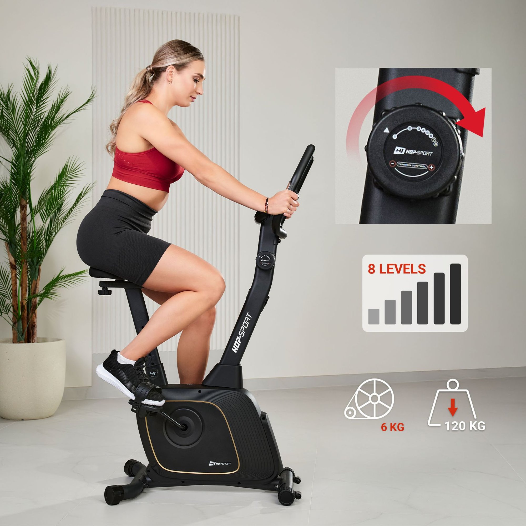 Magnetisch remsysteem