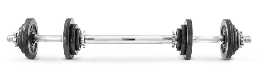 Gusseisen Kurzhantel-Set 2x10kg