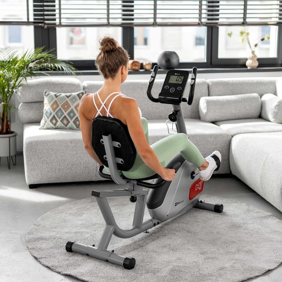 Heimtrainer HS-035L Solo silber
