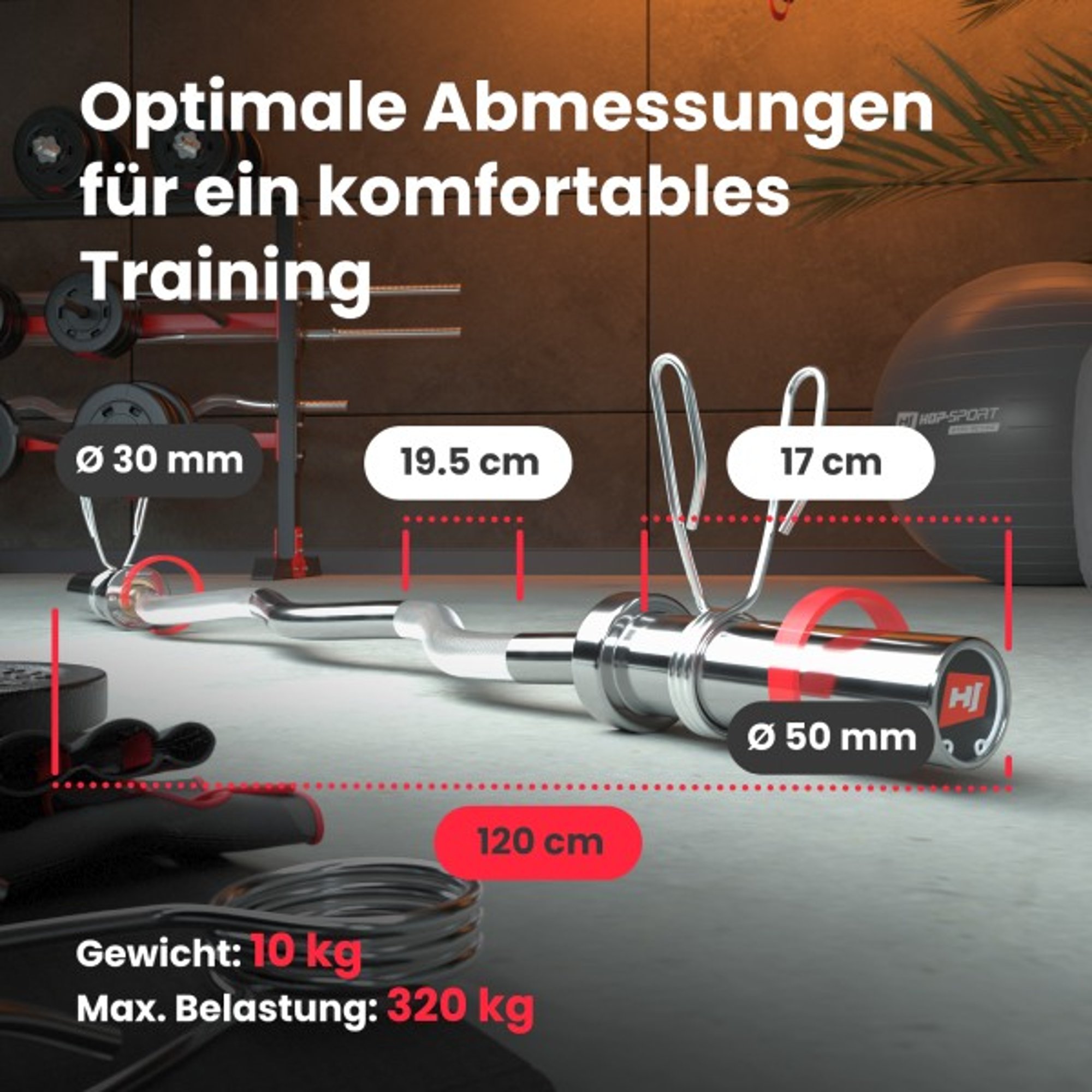 SZ-Stang met afmetingen, gewicht 10 kg en max. belasting 320 kg