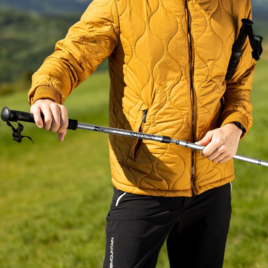 Kije nordend SREBRNE sesja mode