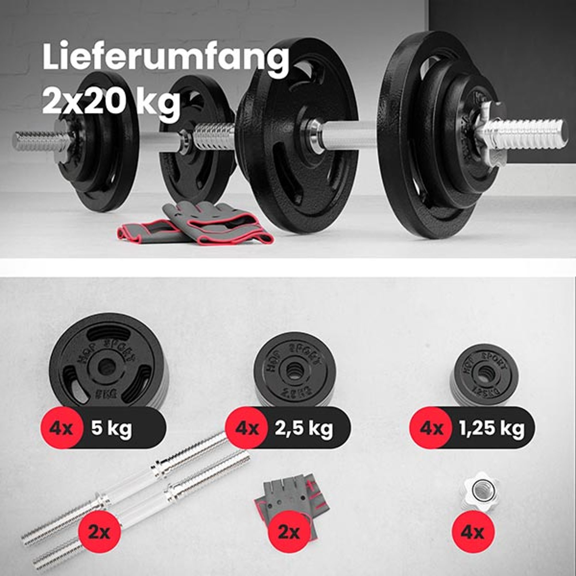Leveringsomvang van het set 2 x 20 kg