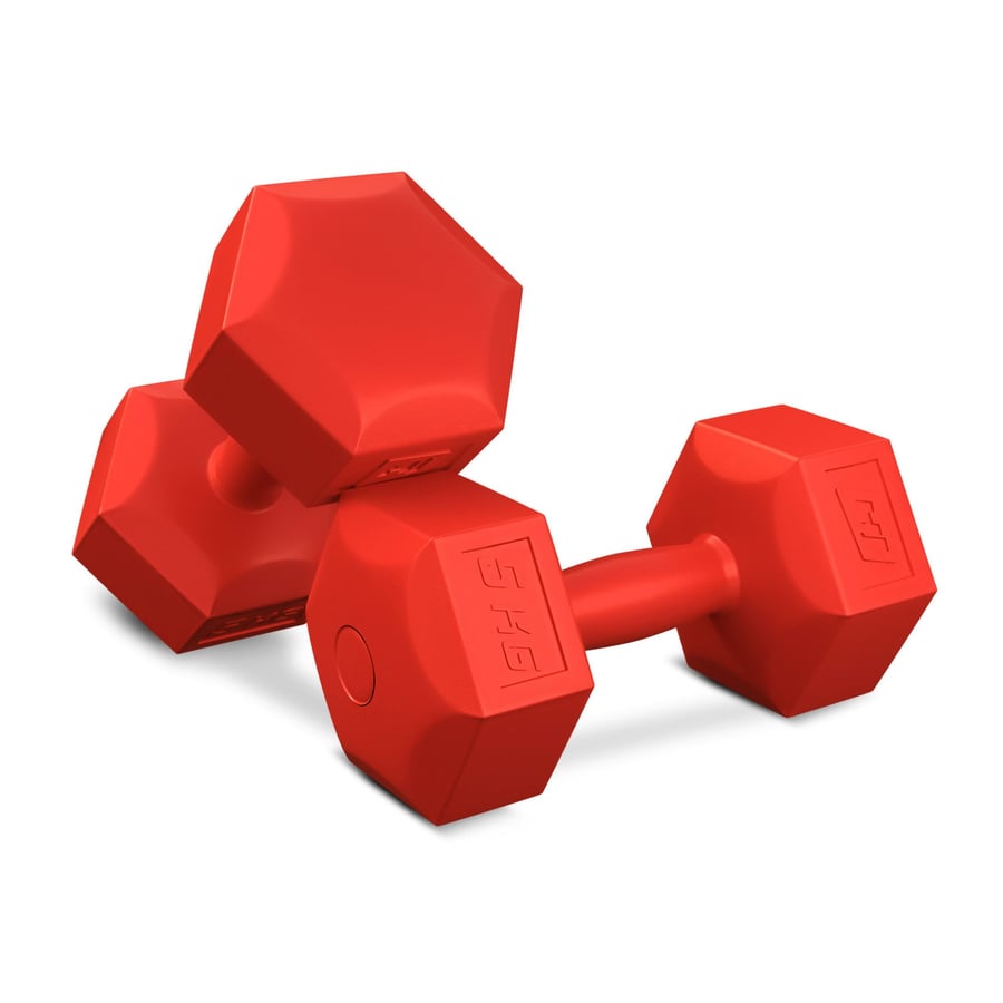 2x5kg DS rendery NOWE