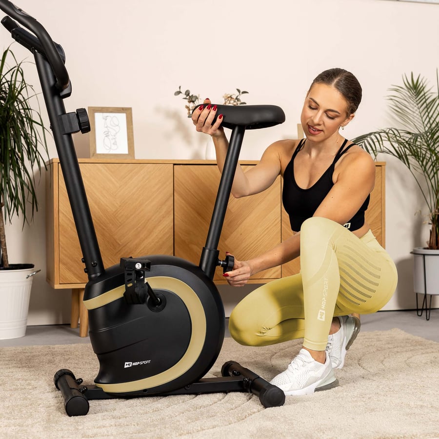 Heimtrainer HS-015H Vox türkis