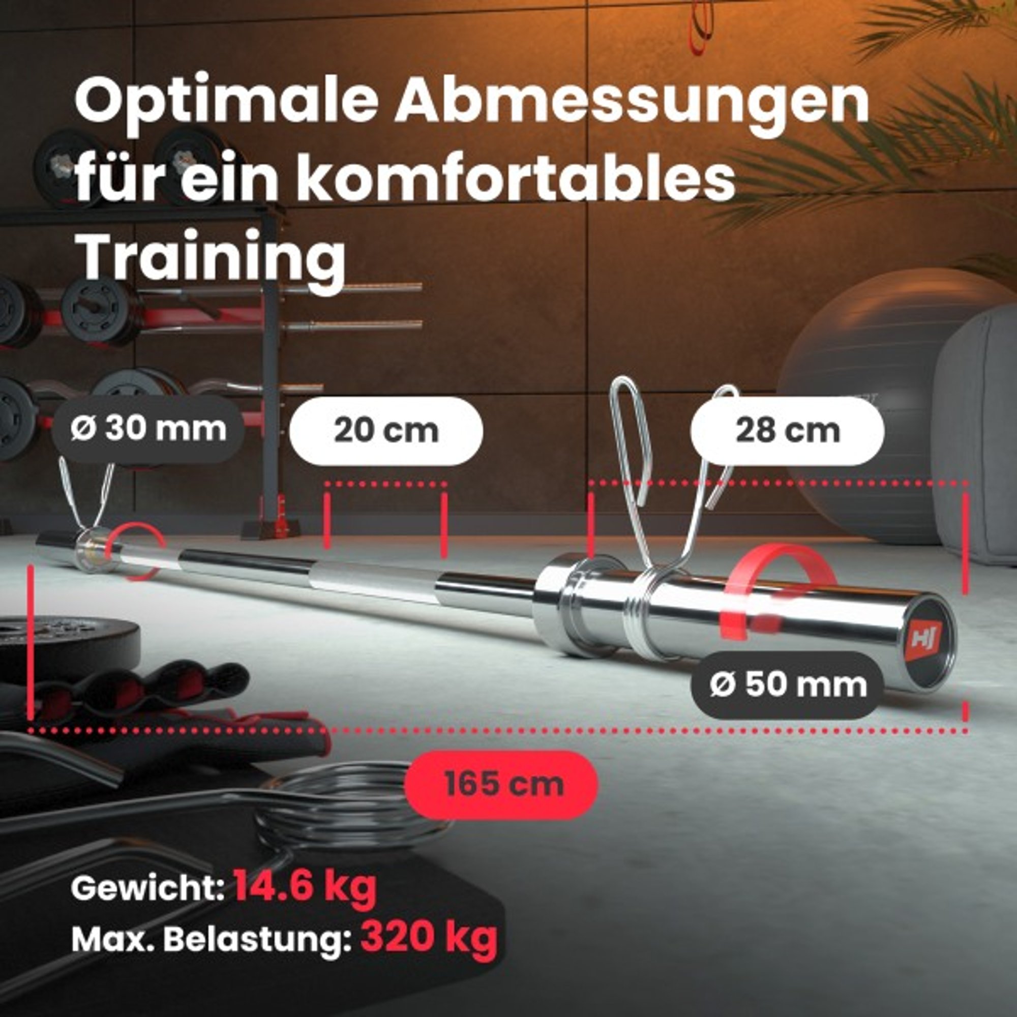 Lange Halterstang met Afmetingen, Gewicht 14,6 kg en Max. Belastbaarheid 320 kg