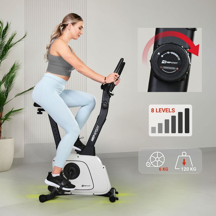 Magnetisch remsysteem