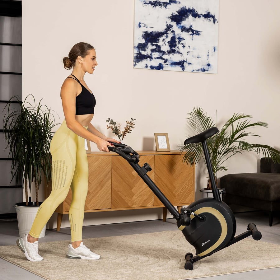 Heimtrainer HS-015H Vox türkis