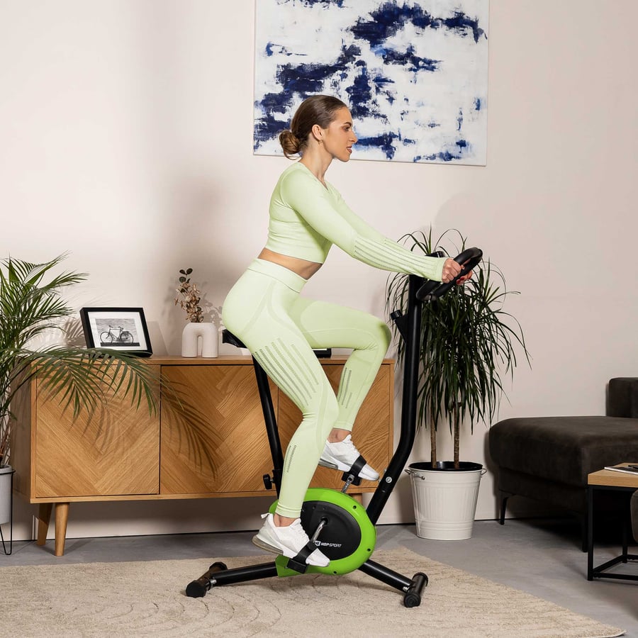 Rower mechaniczny HS-010H Rio